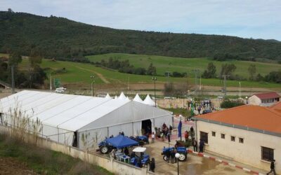 salon de la production d'olive et huile d'olive